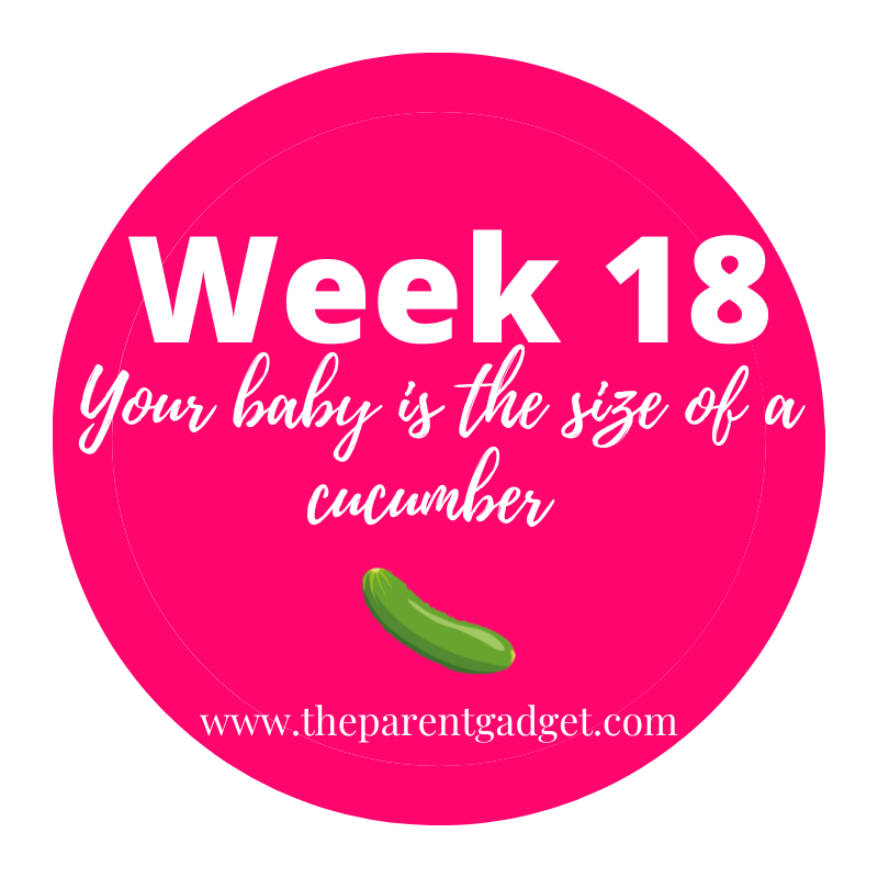 week 18 pregnancy