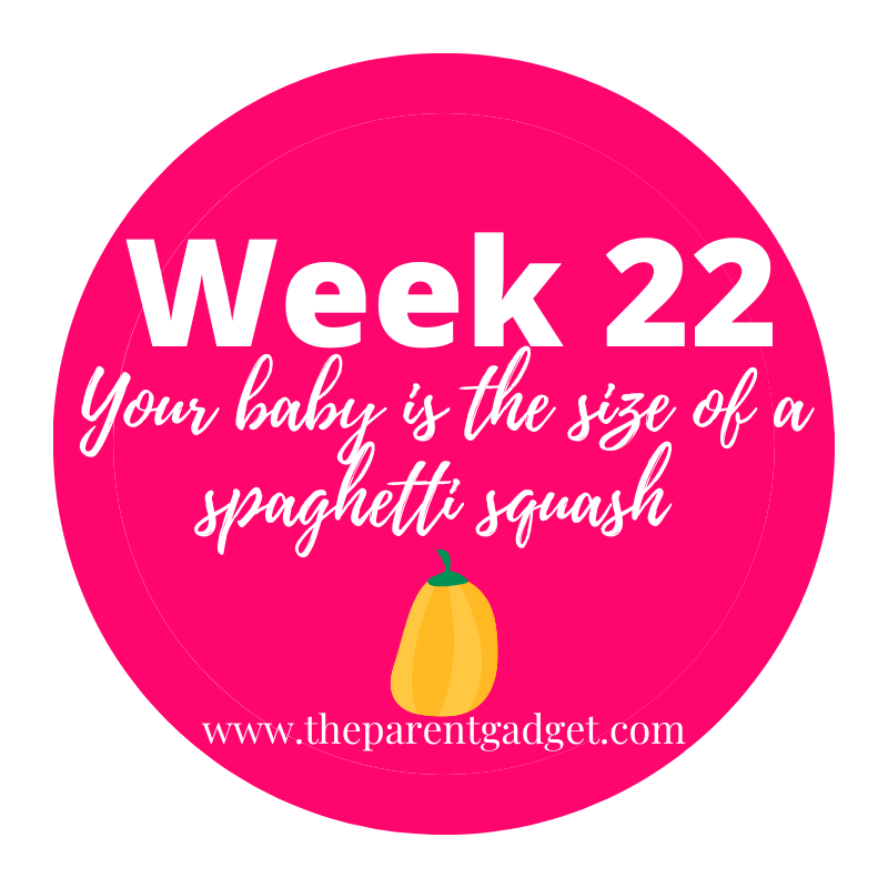week 22 pregnancy