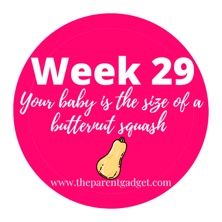 week-by-week-pregnancy-guide-the-parent-gadget