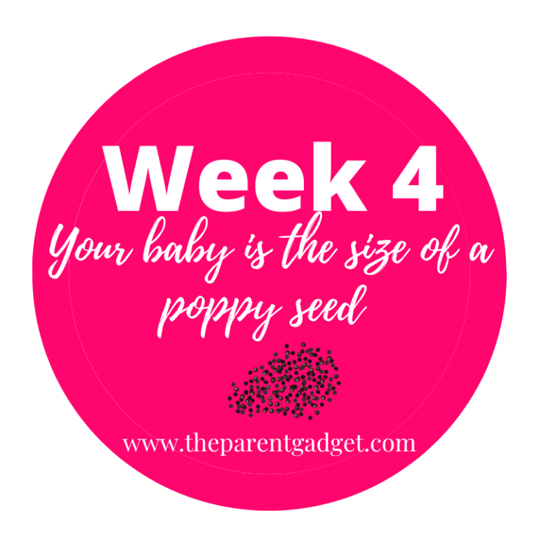 Week 4 of Pregnancy Symptoms & Changes