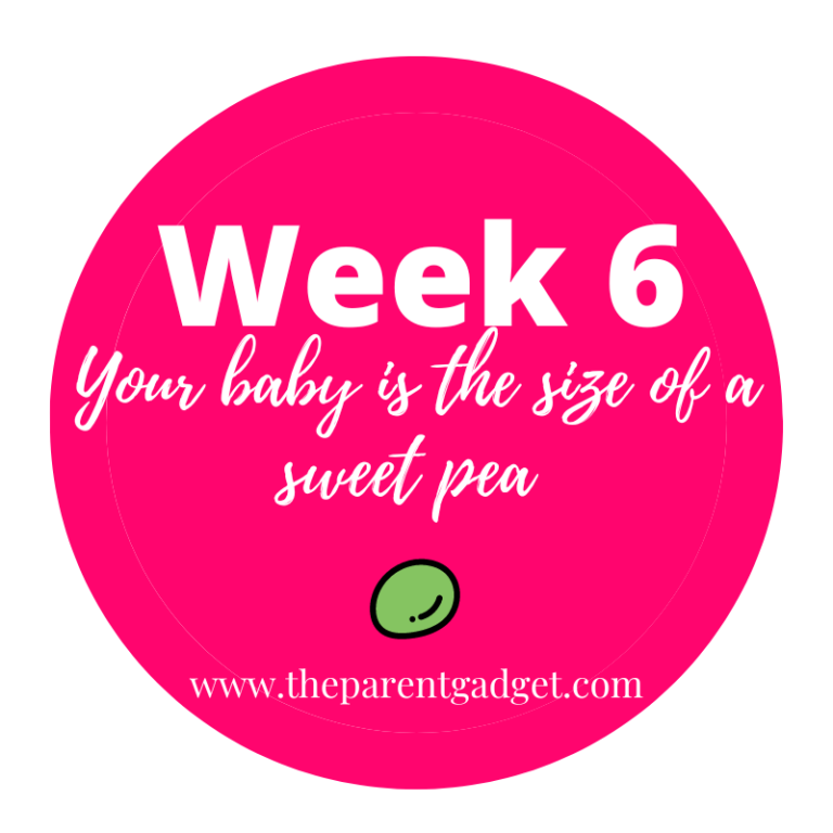 Week 6 of pregnancy