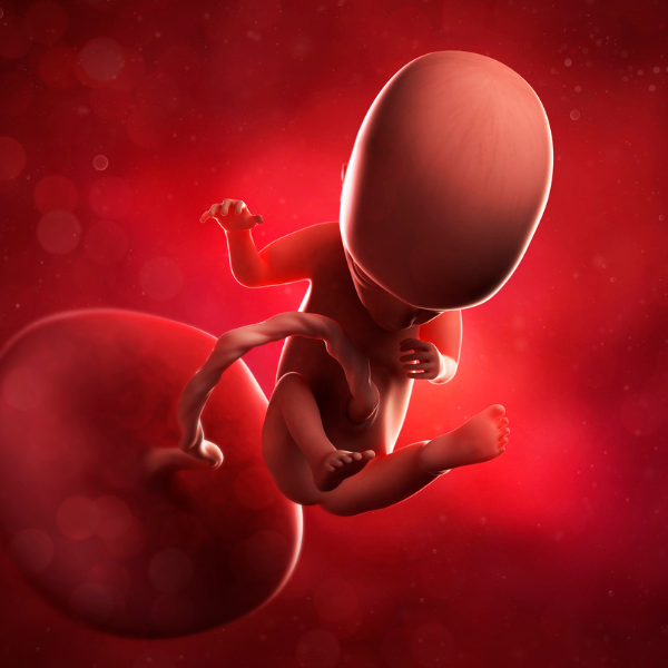 baby at 12 weeks