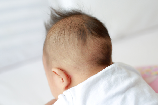 when does baby hair grow back after falling out