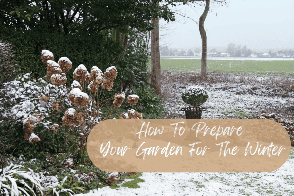 How To Prepare Your Garden For The Winter